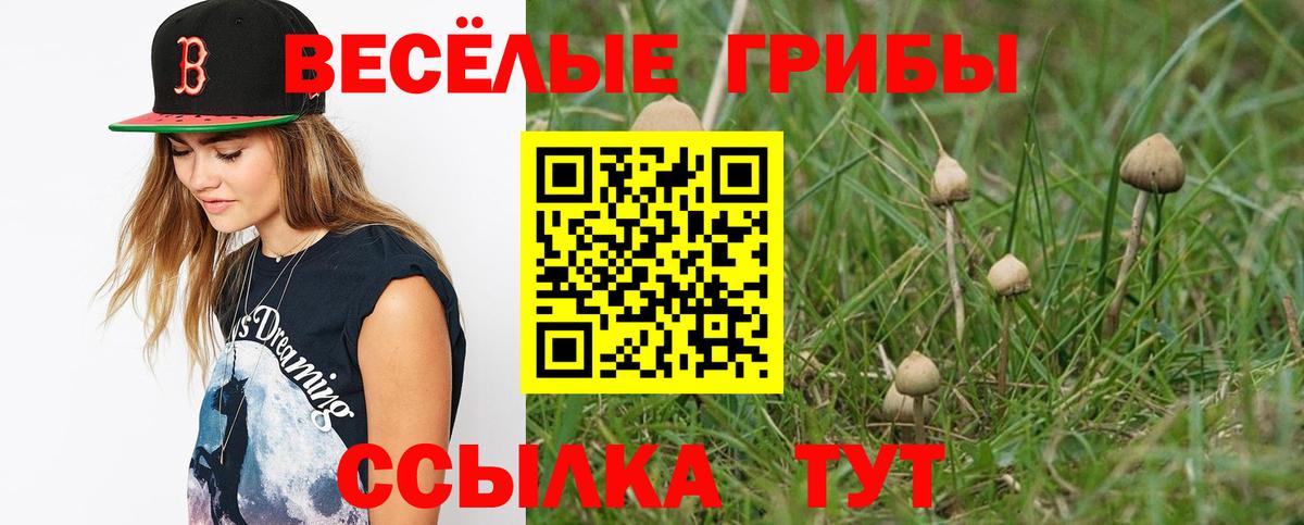 где купить наркоту  Псилоцибиновые грибы мухоморы  Вход с VPN  Приморско-Ахтарск  Псилоцибиновые грибы Psilocybe 